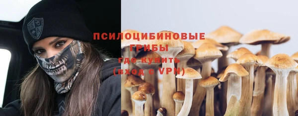 герыч Новодвинск