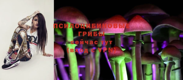 дмт Нягань