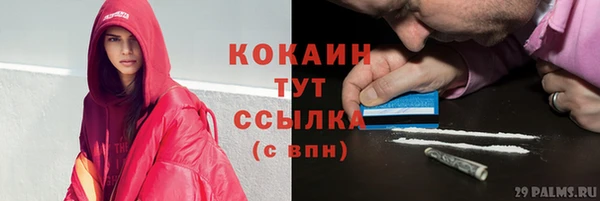 ПСИЛОЦИБИНОВЫЕ ГРИБЫ Новозыбков
