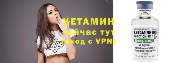 ПСИЛОЦИБИНОВЫЕ ГРИБЫ Новозыбков