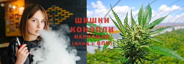 дмт Нягань