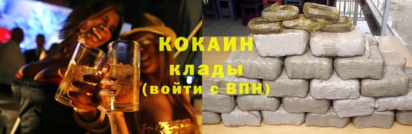 ПСИЛОЦИБИНОВЫЕ ГРИБЫ Новозыбков