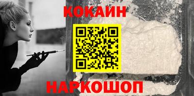 стаф Дубна