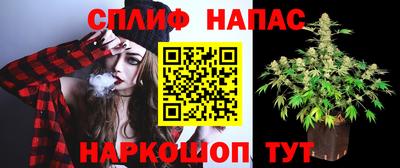 молекула духа Бузулук