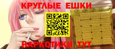 стаф Дубна