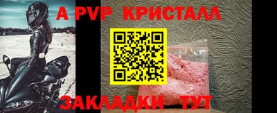 стаф Дубна