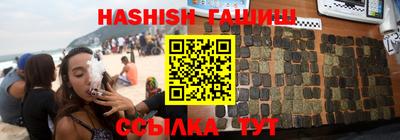стаф Дубна