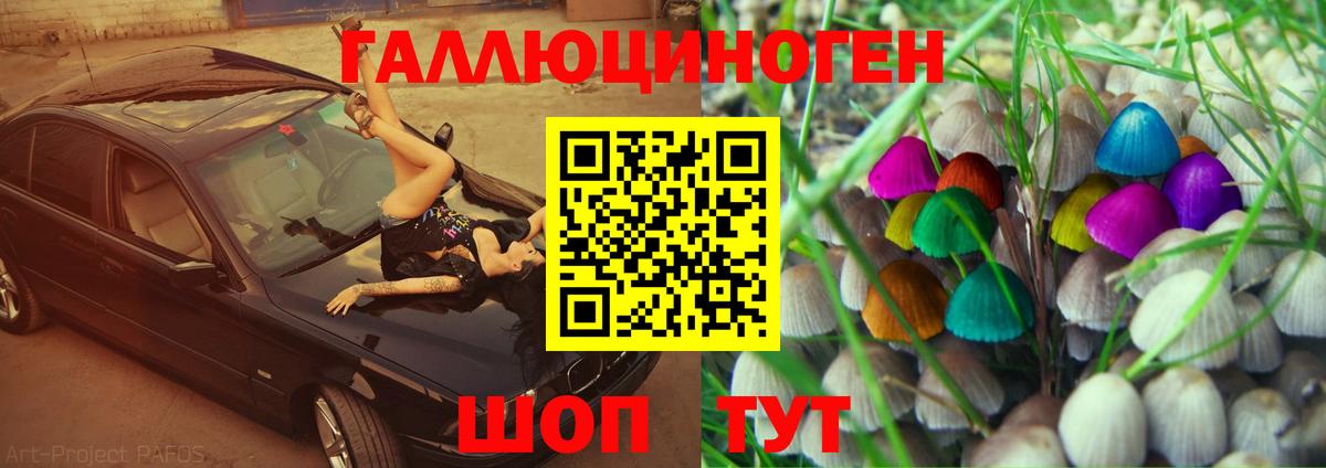 Галлюциногенные грибы GOLDEN TEACHER Курчатов