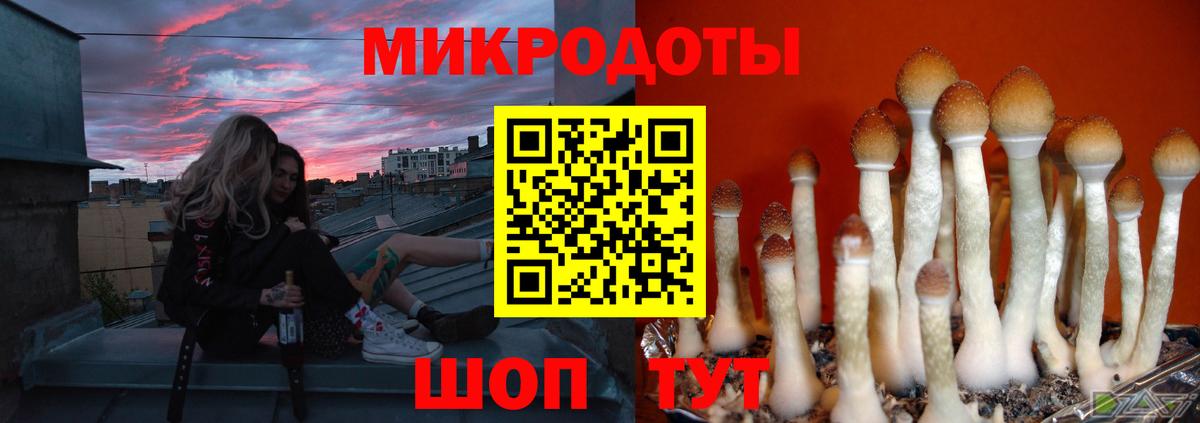 Галлюциногенные грибы GOLDEN TEACHER  Вход с VPN  Курчатов 